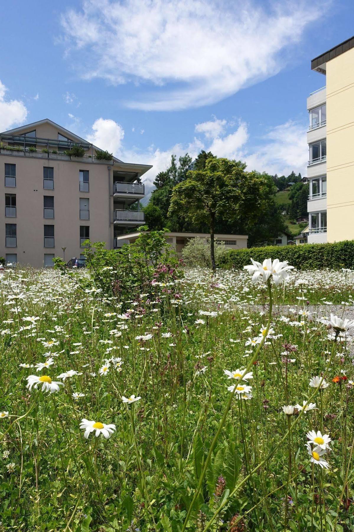 Hotel Schweizerhof Engelberg Exterior foto